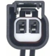 Purchase Top-Quality License Lamp Connector by BLUE STREAK (HYGRADE MOTOR) - S1757 pa50