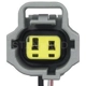 Purchase Top-Quality License Lamp Connector by BLUE STREAK (HYGRADE MOTOR) - S816 pa3