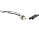 Purchase Top-Quality License Lamp Connector by MOTORCRAFT - WPT1201 pa12