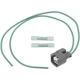 Purchase Top-Quality License Lamp Connector by STANDARD - PRO SERIES - S2342 pa1