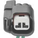 Purchase Top-Quality License Lamp Connector by STANDARD - PRO SERIES - S2342 pa4