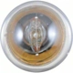 Purchase Top-Quality License Plate Light by PHILIPS - 89LLB2 pa34