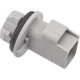 Purchase Top-Quality BLUE STREAK (HYGRADE MOTOR) - HP3995 - License Plate Light Socket pa22