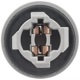 Purchase Top-Quality BLUE STREAK (HYGRADE MOTOR) - HP3995 - License Plate Light Socket pa24