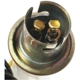 Purchase Top-Quality BLUE STREAK (HYGRADE MOTOR) - S36N - License Plate Light Socket pa16