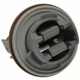 Purchase Top-Quality License Plate Light Socket by BLUE STREAK (HYGRADE MOTOR) - HP4525 pa10