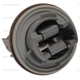 Purchase Top-Quality License Plate Light Socket by BLUE STREAK (HYGRADE MOTOR) - HP4525 pa2