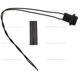 Purchase Top-Quality License Plate Light Socket by BLUE STREAK (HYGRADE MOTOR) - S2248 pa1