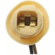 Purchase Top-Quality License Plate Light Socket by BLUE STREAK (HYGRADE MOTOR) - S97 pa34
