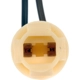 Purchase Top-Quality DORMAN - 85816 - Multi-Purpose Light Socket pa2
