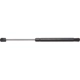 Purchase Top-Quality Lift Support by ACDELCO - 510-1189 pa1