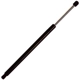 Purchase Top-Quality ACDELCO - 510-966 - Rear Compartment Lift Support pa4