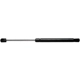 Purchase Top-Quality ACDELCO PROFESSIONAL - 510-1245 - Tailgate Lift Support pa1