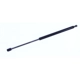 Purchase Top-Quality Lift Support by AMS AUTOMOTIVE - 6399 pa1