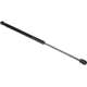 Purchase Top-Quality Lift Support by AUTOTECNICA - DG0816623 pa1