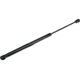 Purchase Top-Quality Lift Support by AUTOTECNICA - DG0816623 pa2
