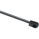 Purchase Top-Quality Lift Support by AUTOTECNICA - DG0816623 pa4