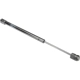 Purchase Top-Quality Lift Support by AUTOTECNICA - FD0816591 pa1