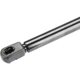Purchase Top-Quality Lift Support by AUTOTECNICA - FD0816591 pa3