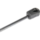 Purchase Top-Quality Lift Support by AUTOTECNICA - FD0816591 pa4