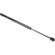 Purchase Top-Quality Lift Support by AUTOTECNICA - FD0816592 pa1