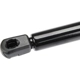 Purchase Top-Quality Lift Support by AUTOTECNICA - FD0816592 pa3