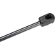 Purchase Top-Quality Lift Support by AUTOTECNICA - FD0816592 pa4