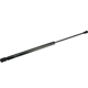 Purchase Top-Quality Lift Support by AUTOTECNICA - LX0816549 pa1