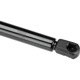 Purchase Top-Quality Lift Support by AUTOTECNICA - LX0816549 pa2