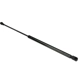 Purchase Top-Quality Lift Support by AUTOTECNICA - LX0816549 pa3