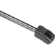 Purchase Top-Quality Lift Support by AUTOTECNICA - TY0816600 pa3