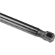 Purchase Top-Quality Lift Support by AUTOTECNICA - TY0816600 pa4