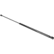 Purchase Top-Quality Lift Support by AUTOTECNICA - TY0816603 pa1