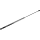 Purchase Top-Quality Lift Support by AUTOTECNICA - TY0816603 pa2