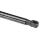 Purchase Top-Quality Lift Support by AUTOTECNICA - TY0816603 pa3