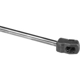 Purchase Top-Quality Lift Support by AUTOTECNICA - TY0816603 pa4