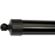 Purchase Top-Quality DORMAN (OE SOLUTIONS) - 747-055 - Liftgate Cylinder pa5