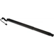 Purchase Top-Quality DORMAN (OE SOLUTIONS) - 747-056 - Lift Support pa1