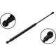 Purchase Top-Quality Lift Support by FCS AUTOMOTIVE - 80003 pa1