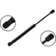 Purchase Top-Quality Lift Support by FCS AUTOMOTIVE - 80006 pa1