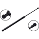 Purchase Top-Quality Lift Support by FCS AUTOMOTIVE - 80017R pa1