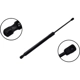 Purchase Top-Quality Lift Support by FCS AUTOMOTIVE - 80045 pa1