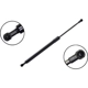 Purchase Top-Quality Lift Support by FCS AUTOMOTIVE - 80054 pa1
