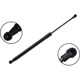 Purchase Top-Quality Lift Support by FCS AUTOMOTIVE - 80057 pa1