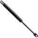 Purchase Top-Quality Lift Support by FCS AUTOMOTIVE - 84006 pa1