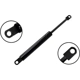Purchase Top-Quality Lift Support by FCS AUTOMOTIVE - 84006 pa5