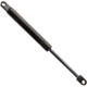 Purchase Top-Quality Lift Support by FCS AUTOMOTIVE - 84035 pa1