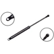 Purchase Top-Quality FCS AUTOMOTIVE - 84047 - Trunk Lid Lift Support pa1