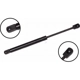 Purchase Top-Quality Lift Support by FCS AUTOMOTIVE - 84072 pa2