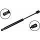 Purchase Top-Quality Lift Support by FCS AUTOMOTIVE - 84073 pa2